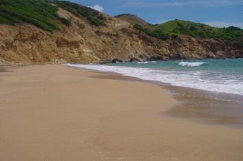 Plage de Grande Anse (Les Saintes)